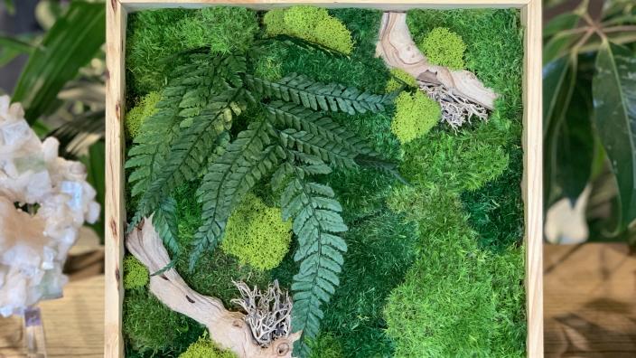 Preserved Moss Art Workshop