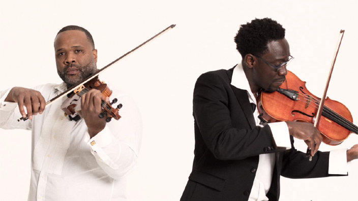 The black violins on sale