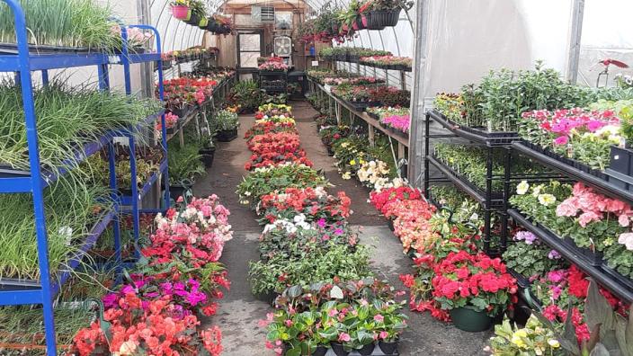 Ely Flower and Seed and Greenhouse