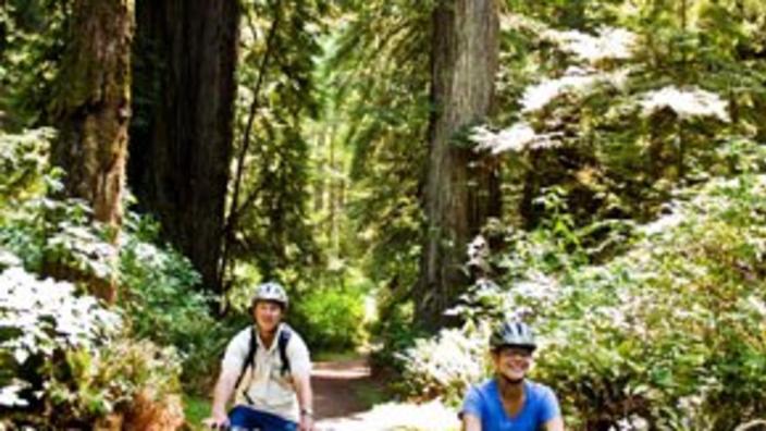 A Nature Lover's Guide to Redwood National Park Camping