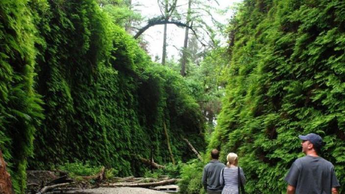 Visit a canyon where dinosaurs roam