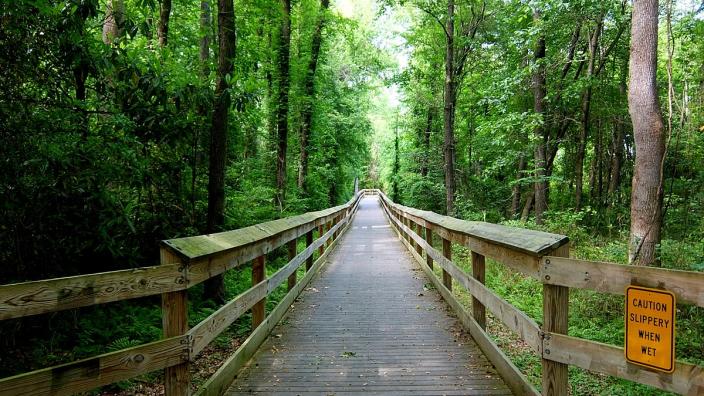 Cape Fear River Trail
