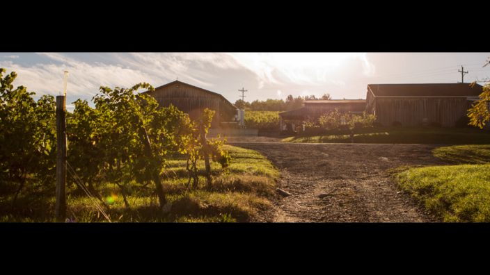 Mcgregor winery 2025
