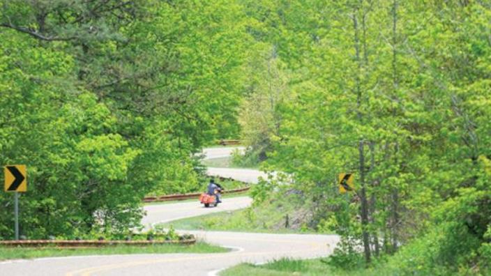 Talimena_64038E6C-0DFB-4C33-