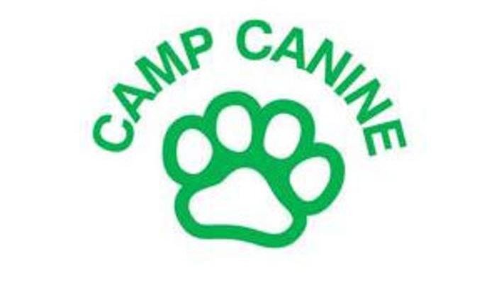 Camp Canine