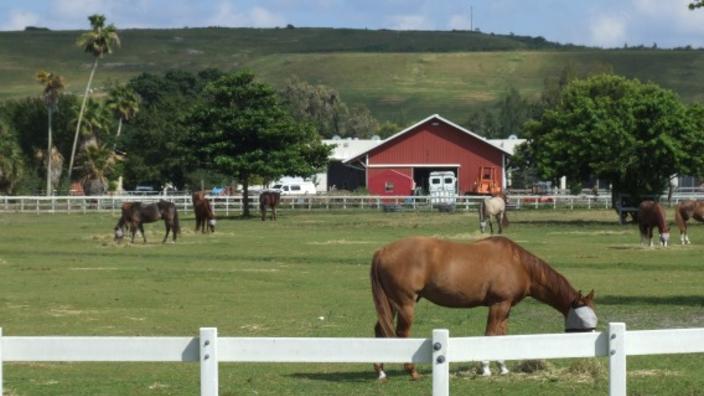 Tradewinds Park and Stables