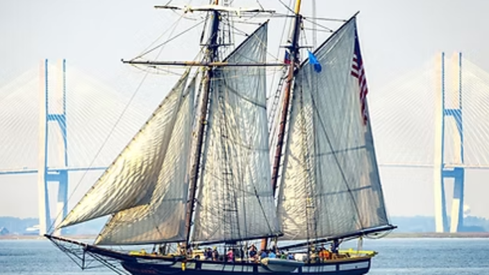 Tall Ship Lynx Excursions