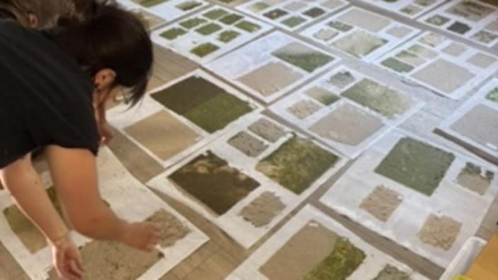 Papermaking workshop with Kate Aitchison
