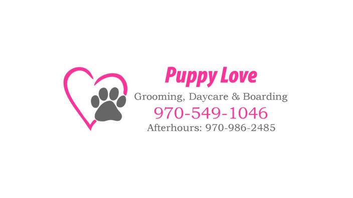 Puppy love grooming cheap