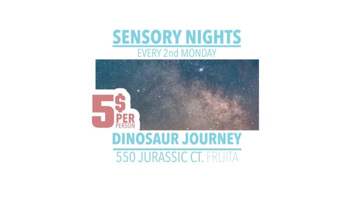 SENSORY FRIENDLY NIGHT: WHAT IT IS AND WHY IT MATTERS