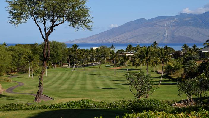 希少！90s ヴィンテージ Imperial Headwear Wailea Golf Course Maui Hawaii インペリアル ヘッドウェアー　ハワイ　ゴルフ Wailea Golf LLC