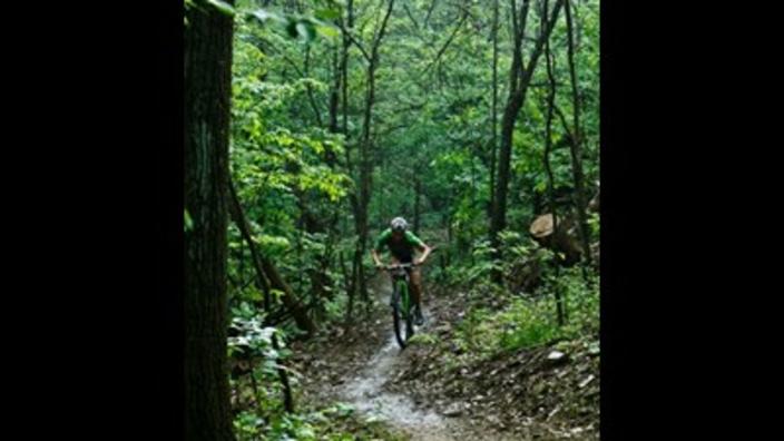 Down grange bike shop jumps