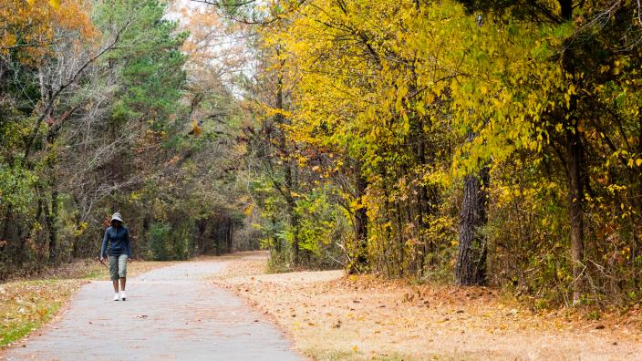 Wade Mountain Nature Preserve's Trailhead