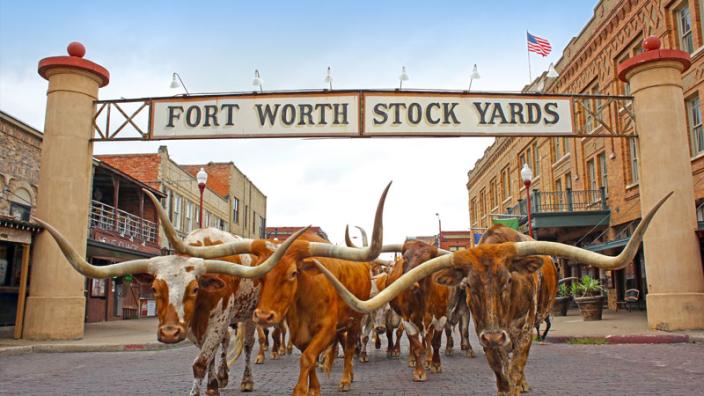 Why the Fort Worth Stockyards Are Famous (And What to See) – Blog