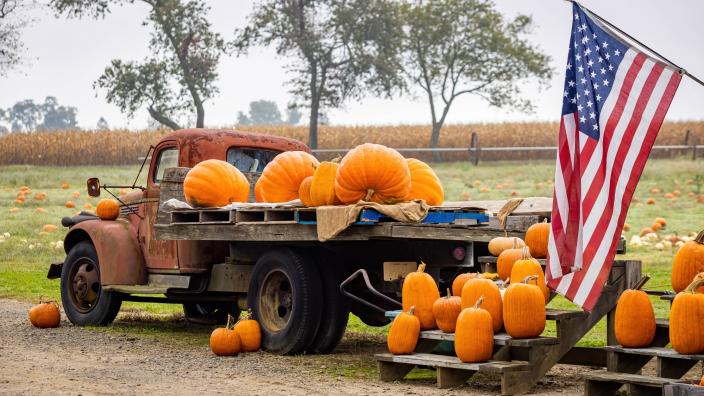 Harvest Festival Graphic