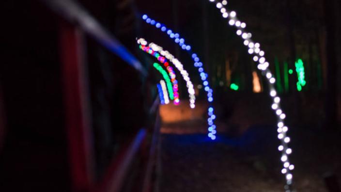 Lights on the Neuse Graphic