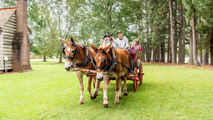Fall Festival at Bentonville Battlefield Graphic