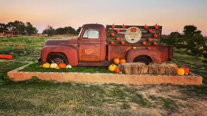 k’s farms 376270744_607759438221569_9157