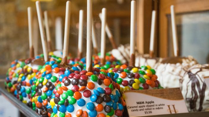 絵画 HILL LINDSAY CHOCOLATE CARAMEL HILL LINDSAY CHOCOLATE CARAMEL 額入り 絵画 インテリア 壁掛け 復刻