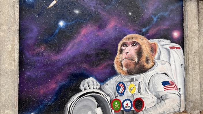 IMG_0292_038E4C43-0E93-6889-