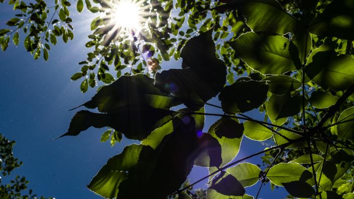 Bristol Woods Park | Bristol, WI