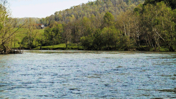 Clinch River, Grainger County, TN  Union county, Hawkins county, River