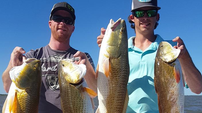 Fish clearance gills sunglasses