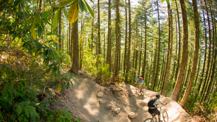 Dead Mountain Trail