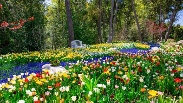 Secret Garden