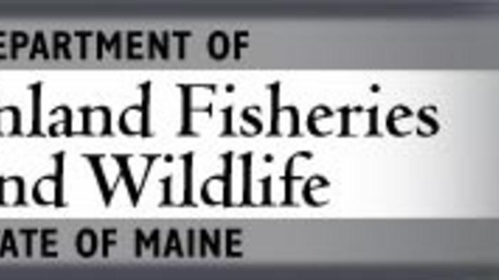 Maine depart of inland sale fisheries and wildlife