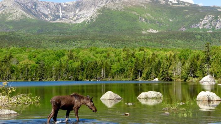 Baxter state park backpacking online