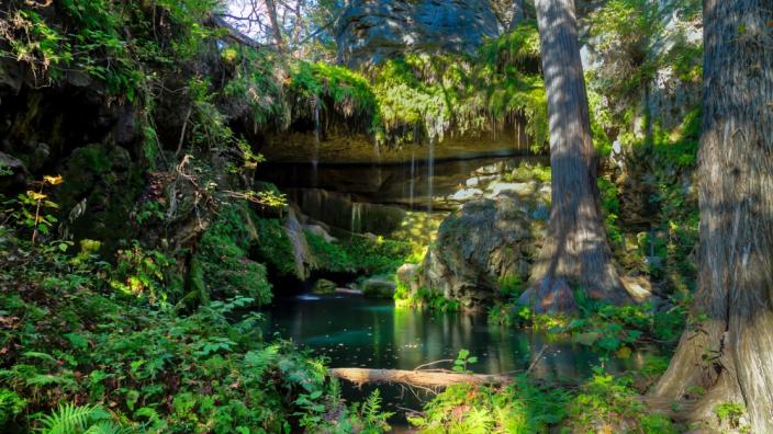 Westcave Preserve