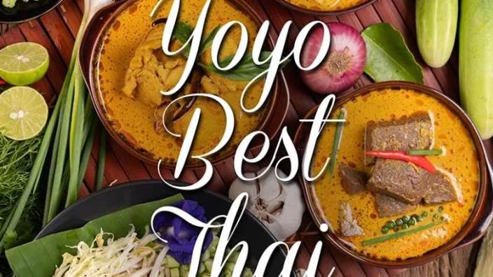 Yoyo hotsell asian food