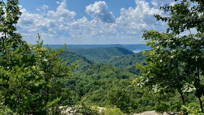 Best hikes daniel boone national forest cheap