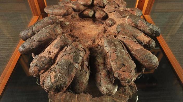 1831-4346_cfed5b04-5056-a36a-