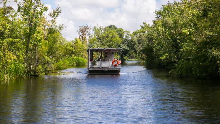 Jean Lafitte Swamp Airboat Tours