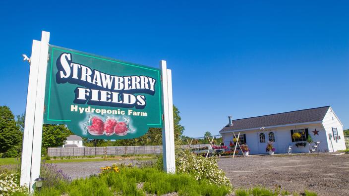 Strawberry Fields | Auburn, NY 13021