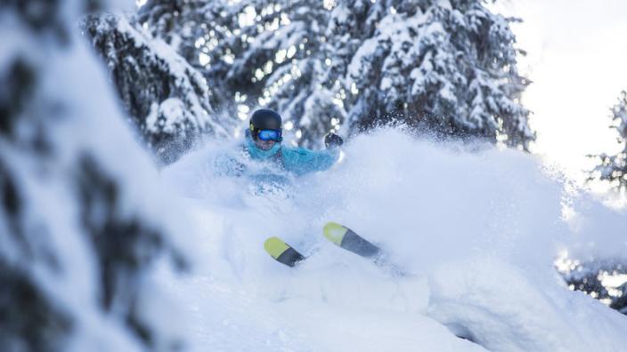 Group rossignol usa inc store