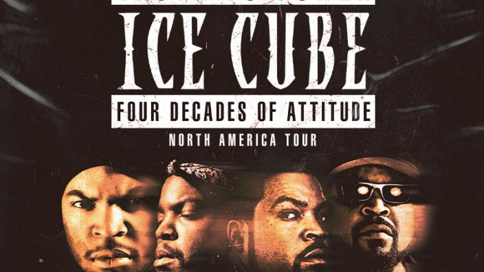 Ice Cube - Glendale AZ, 85305