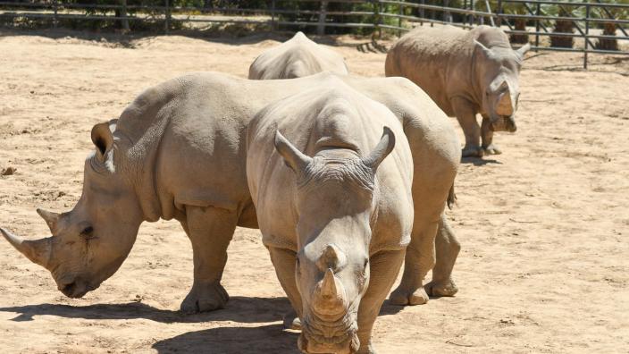 Litchfield Park Wildlife World Zoo, Aquarium & Safari Park