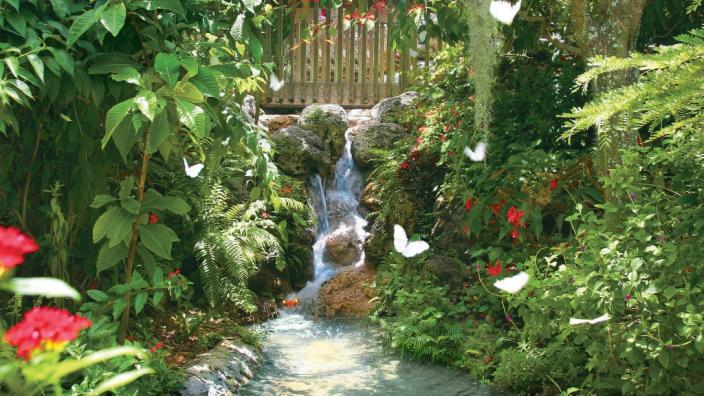 Butterfly World