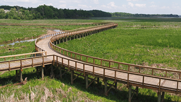 Neabsco Creek Wetlands