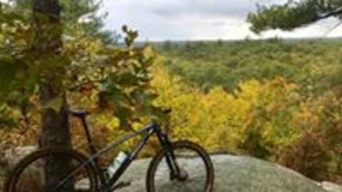 Blackstone valley online bike shop