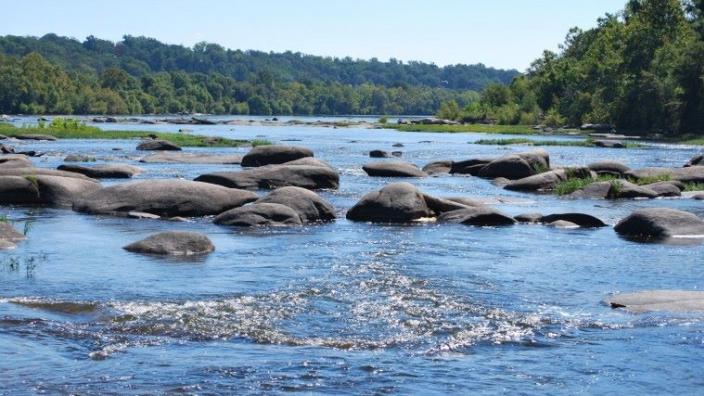 Pony Pasture