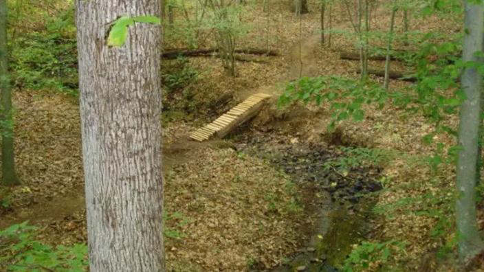 Pee wee's mountain bike park clearance