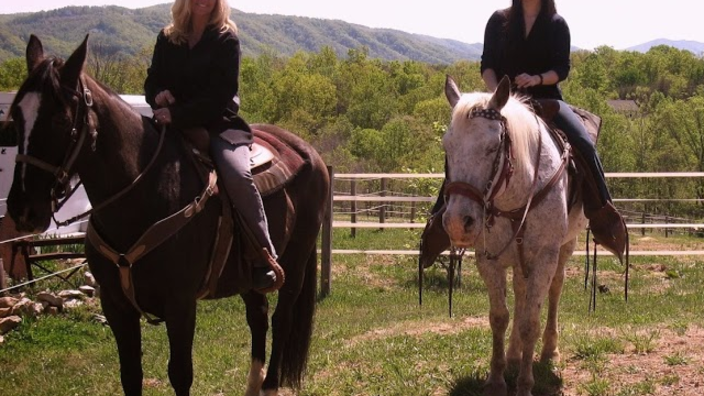 Why Horses Need Shoes - Mountain Creek Riding Stable