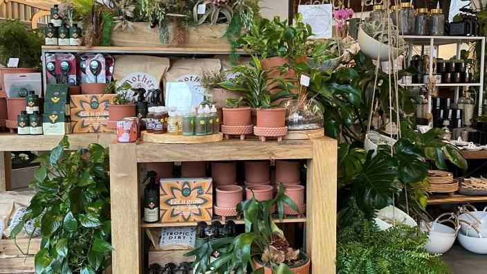 Stacy K Floral & Winter Swan Coffee