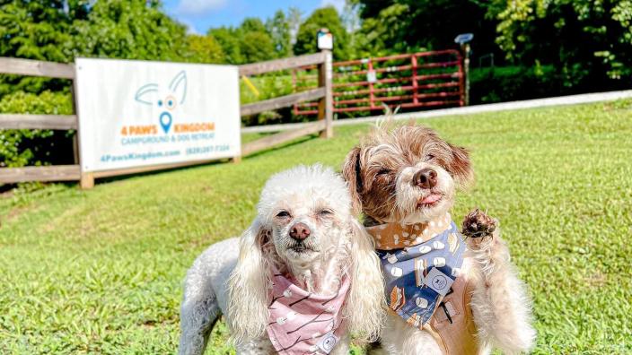 Lakefront dog retreat clearance