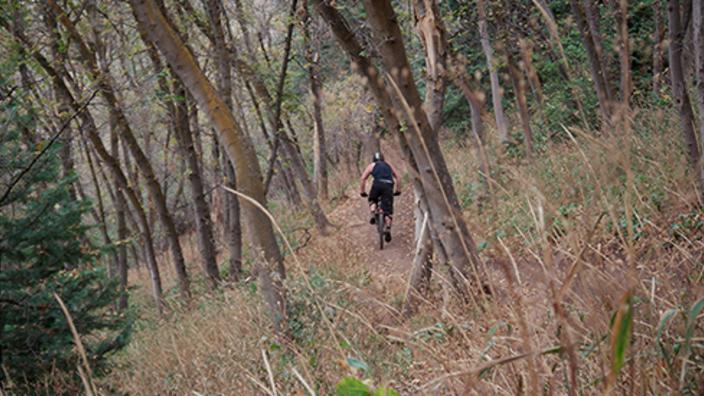 Mueller Park Trail Mountain Bike Ride to Big Rock