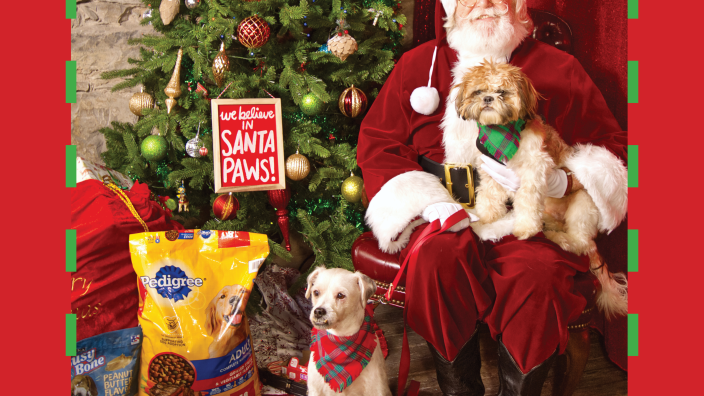 ドッグフード santa 5th Annual Santa Paws benefiting San Marcos Regional Animal